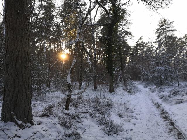 Img 20210210 164403 640x480